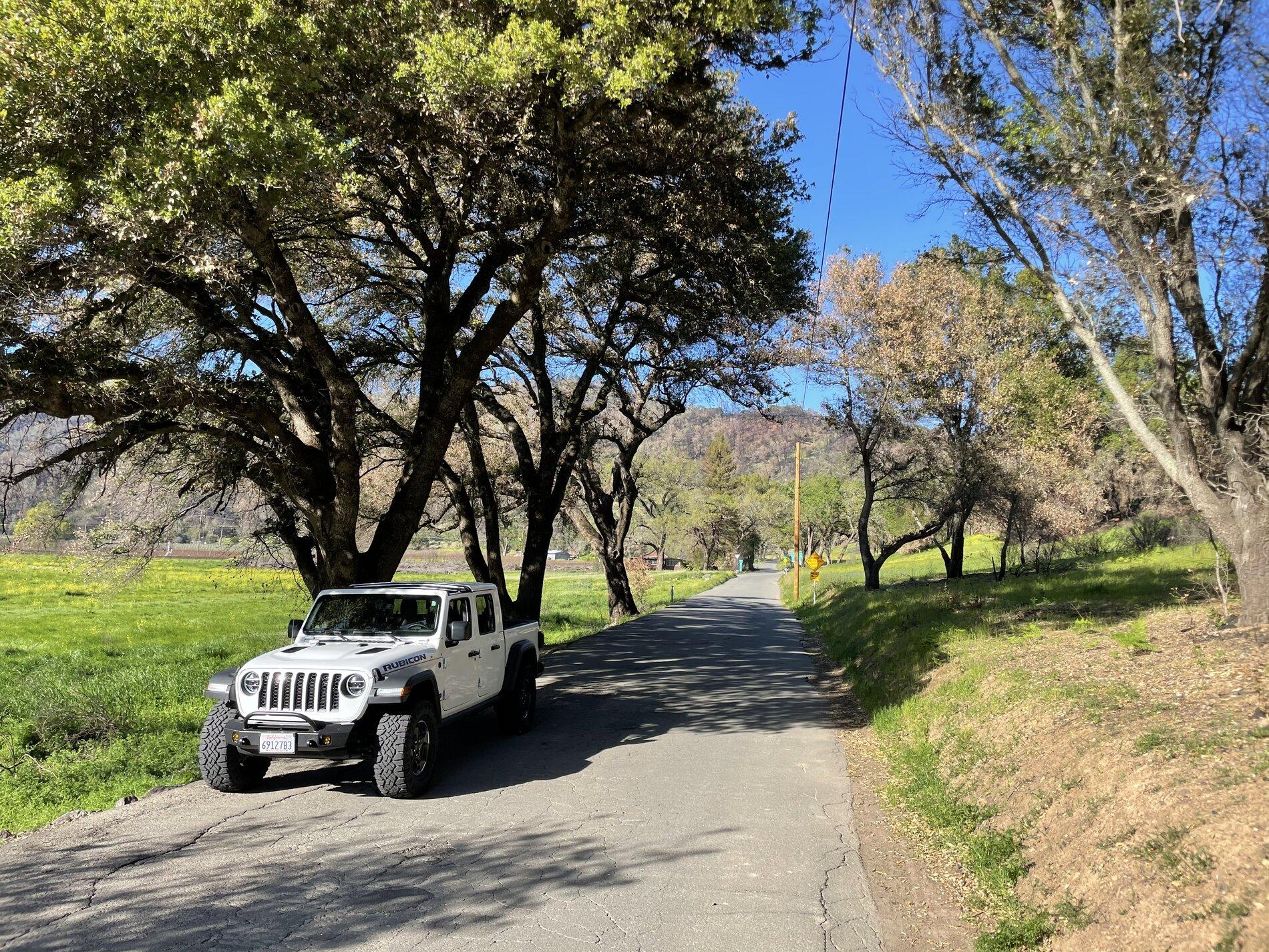 Jeep Gladiator Whoops, time for new bumper shopping... 366B4FBE-C473-480C-B1A1-8177C0449D2E