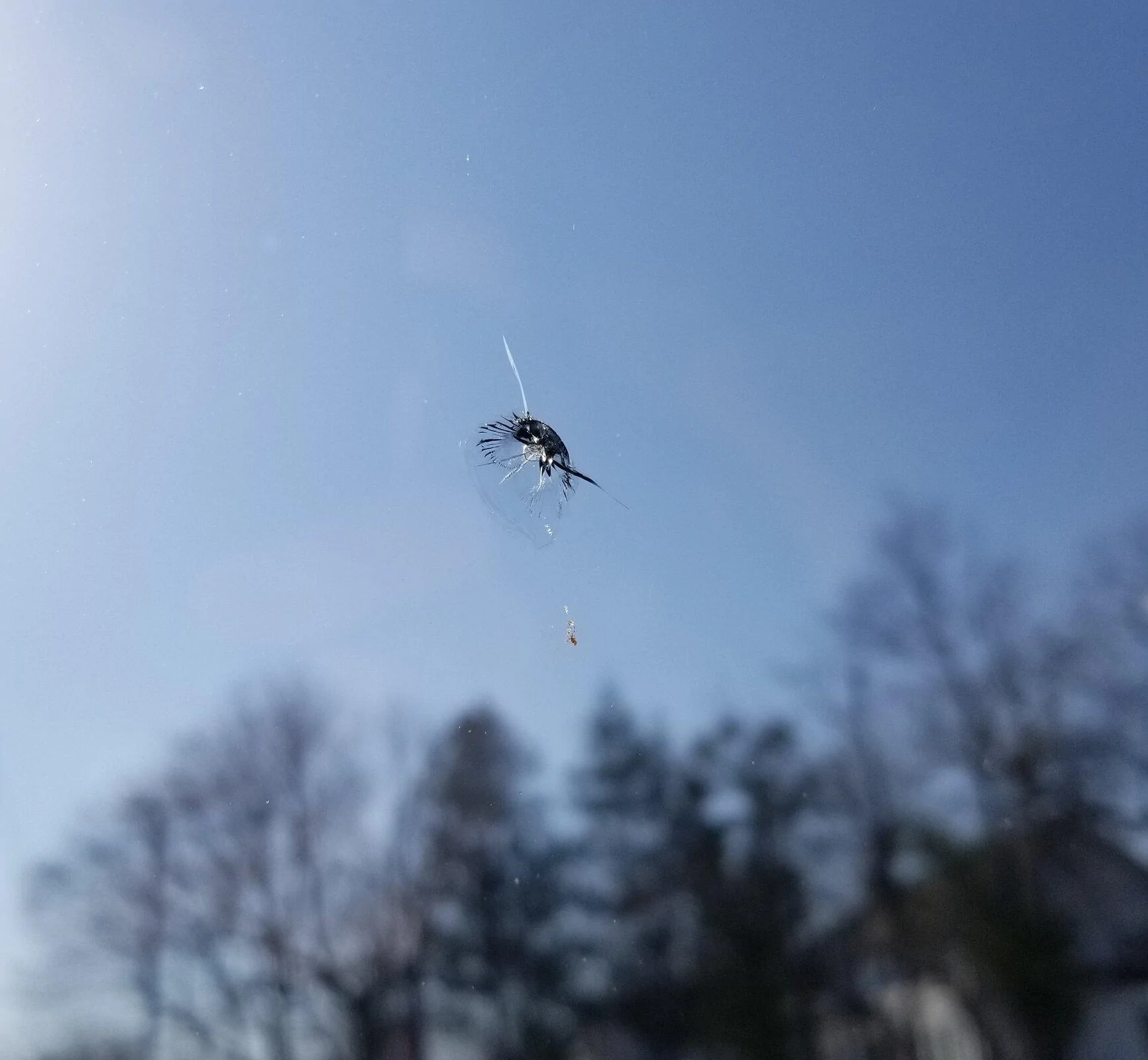 Jeep Gladiator Joined the Gladiator cracked window club Cracked Windshield