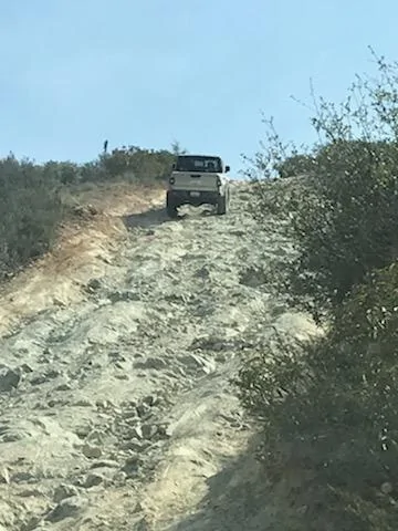 Otay Rock garden 3.jpg