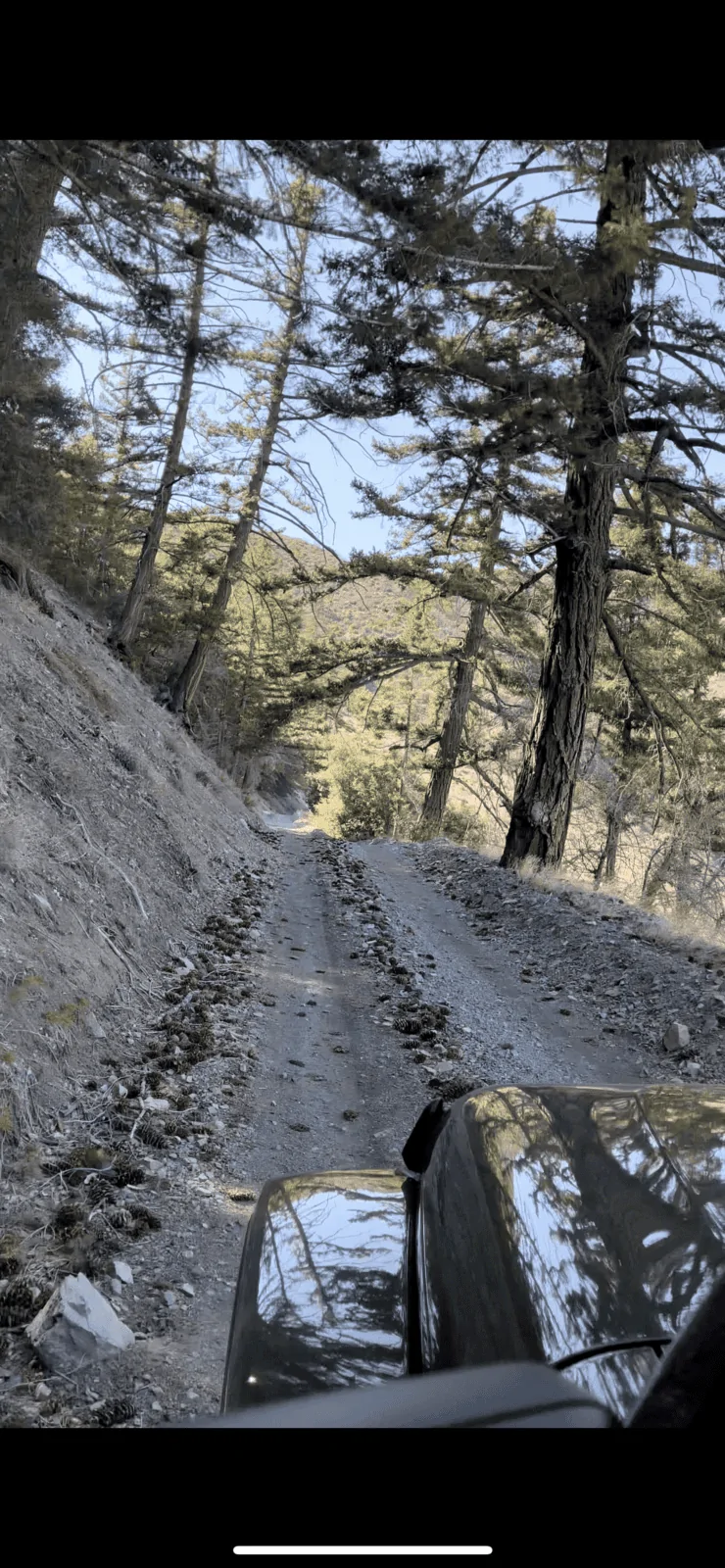 Jeep Gladiator Newsflash:  Overlands aren’t just Mall Crawlers! DE0AA0A8-13F6-444D-8A4D-3ED2E1FB8B56