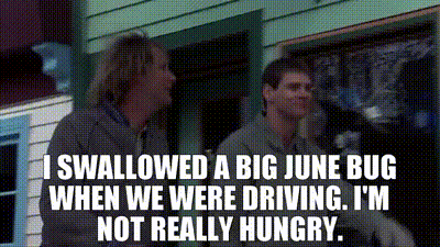 Jeep Gladiator Worst thing you’ve been hit by driving topless? 3d98d04d-4b83-44ed-bc0f-08b1bc6a28ba_text