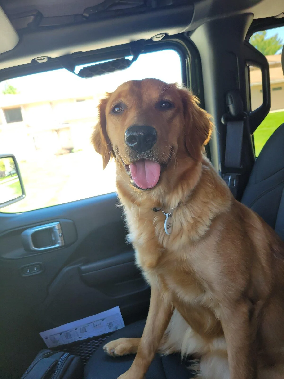Jeep Gladiator Glad(iator) Dogs! Let's see 'em! 20210412_142244