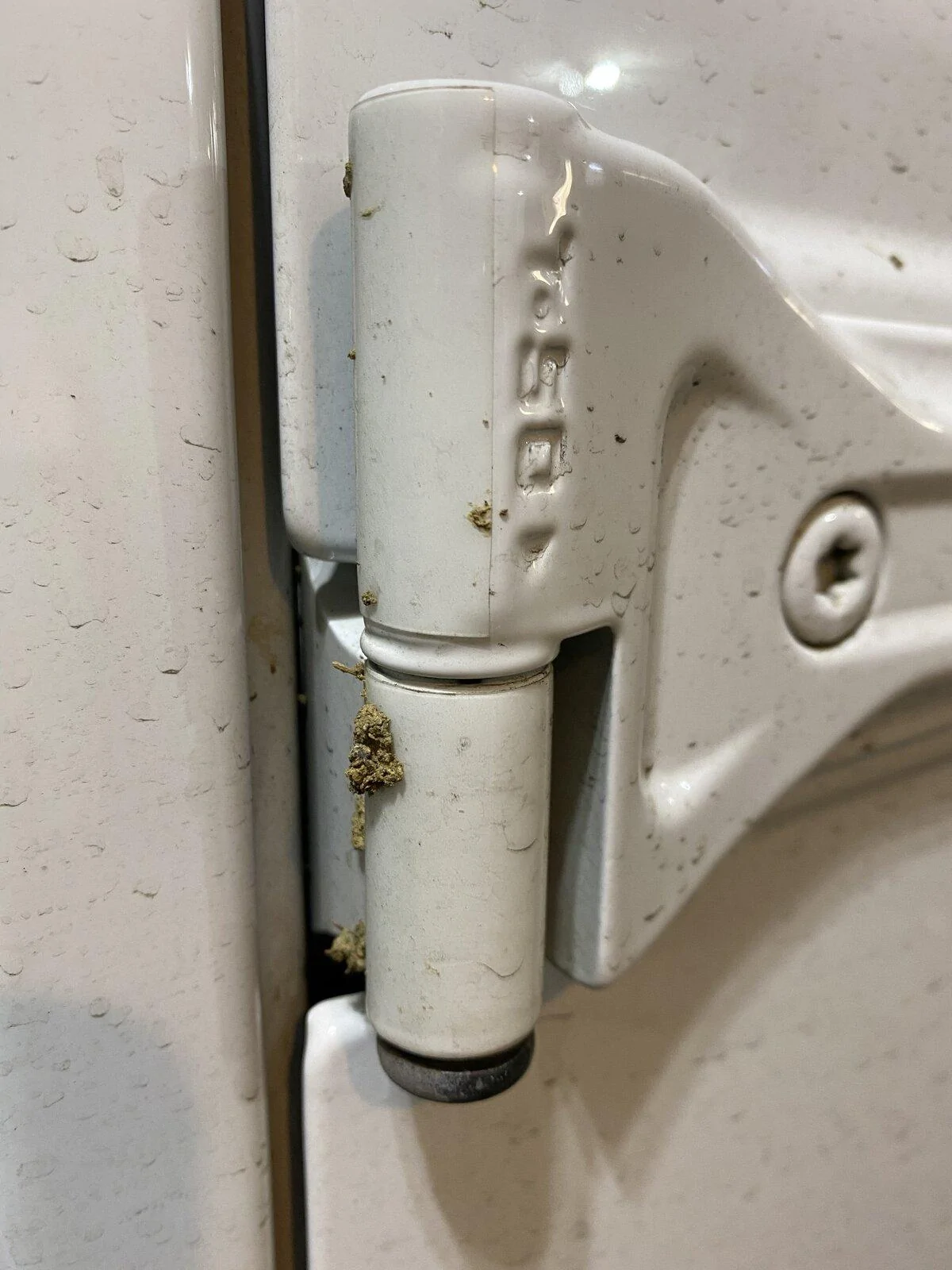 Jeep Gladiator How to Protect Against Paint Chips on Door Hinges? A7F8F2B4-E1C3-48AE-A1E7-1FE419CB89C7