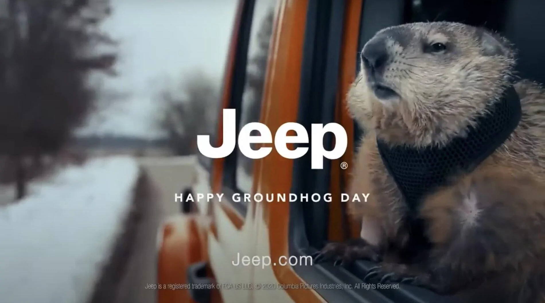 Jeep Gladiator Where did you place your Groundhog Badges? 519768B7-0FD4-4947-B8A8-BAECABC331D0