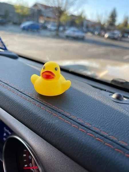 Jeep Gladiator Get a duck yet? i-bMF7rss-L