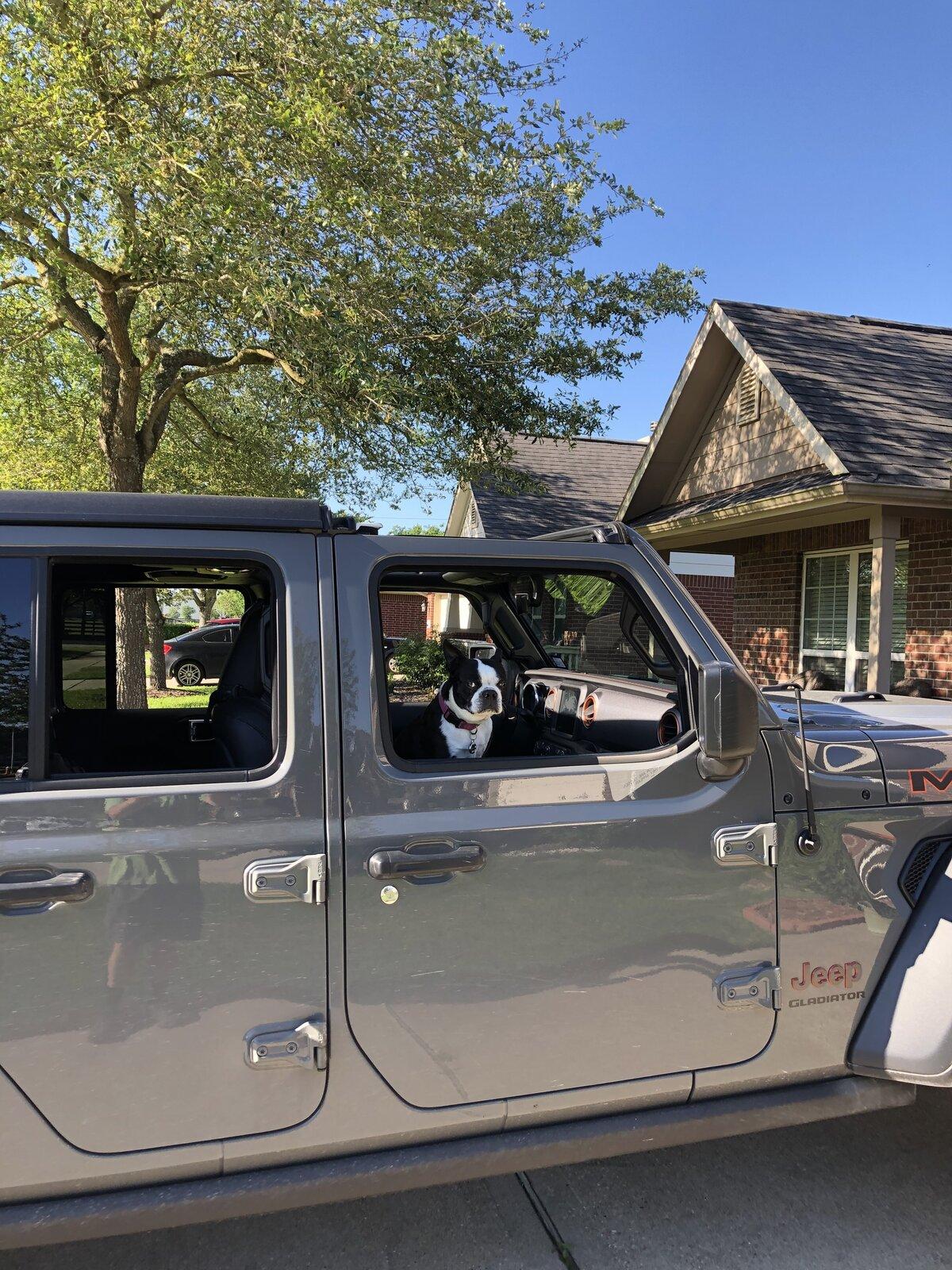 Jeep Gladiator Glad(iator) Dogs! Let's see 'em! 357A4569-F1AB-49FF-AB8C-0365CB720FF1