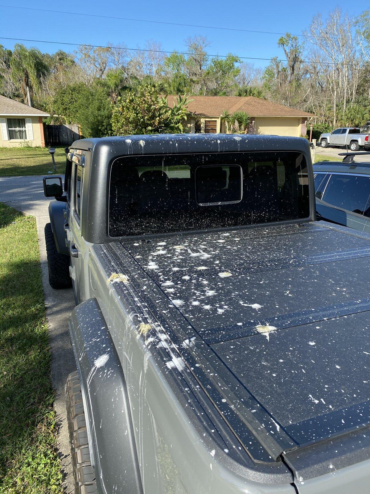 Jeep Gladiator Retroactive Sting-Gray Gladiator Build Thread B9513161-E950-475D-AB33-A2F4D55F0979