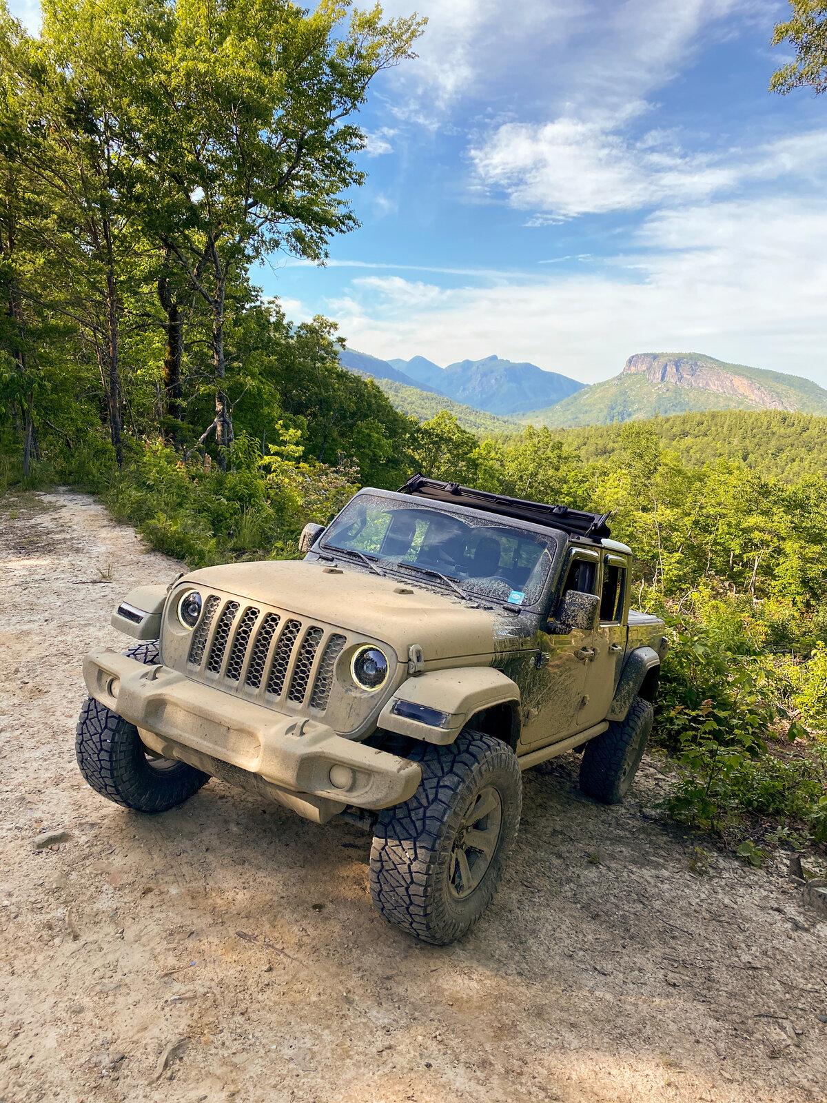 Jeep Gladiator Retroactive Sting-Gray Gladiator Build Thread 7D99169D-1BBE-4A83-85C5-16A866AE7ABE
