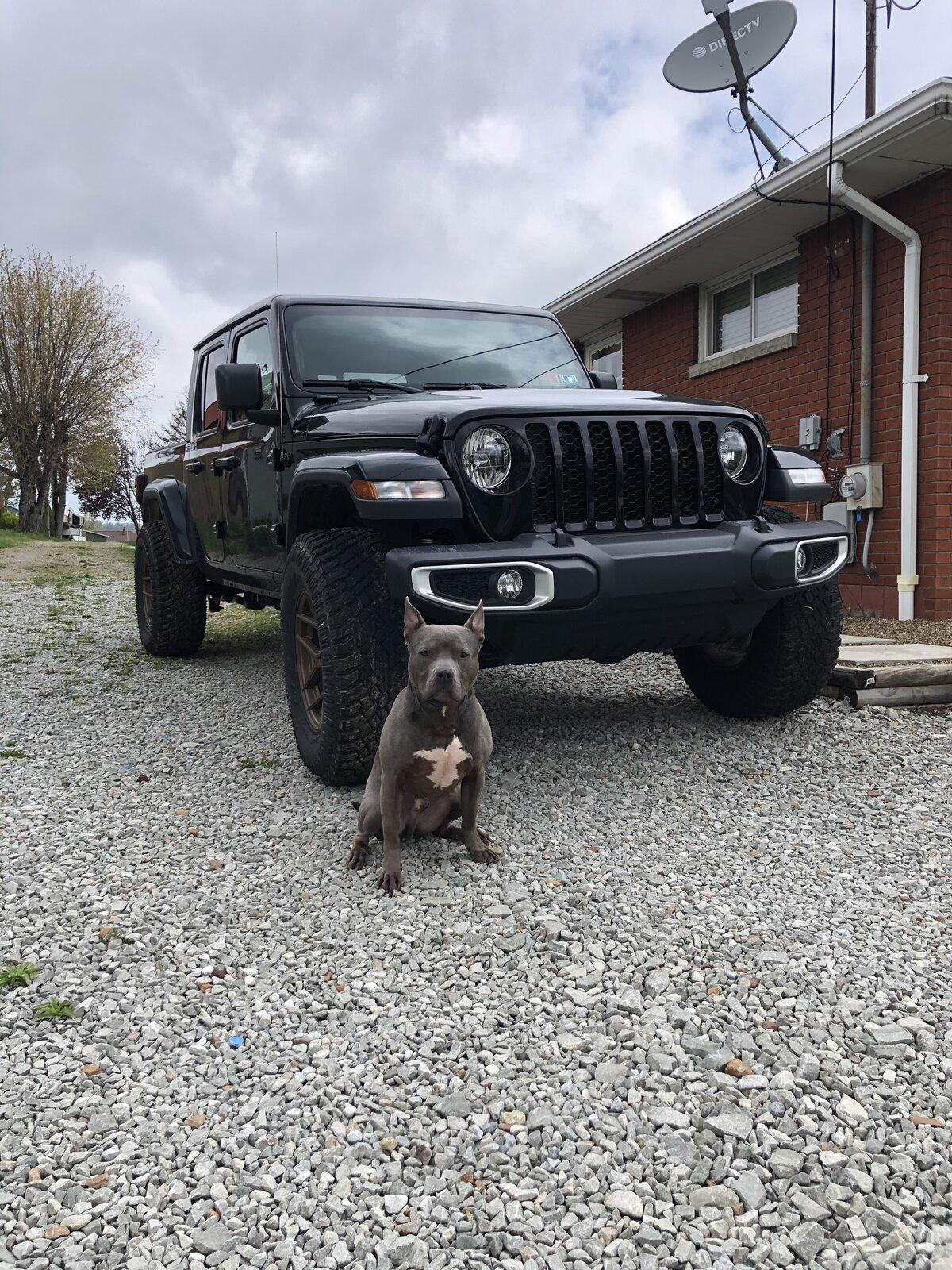 Jeep Gladiator Glad(iator) Dogs! Let's see 'em! 5E5DA091-11AD-4B9C-85D3-95DD13897189