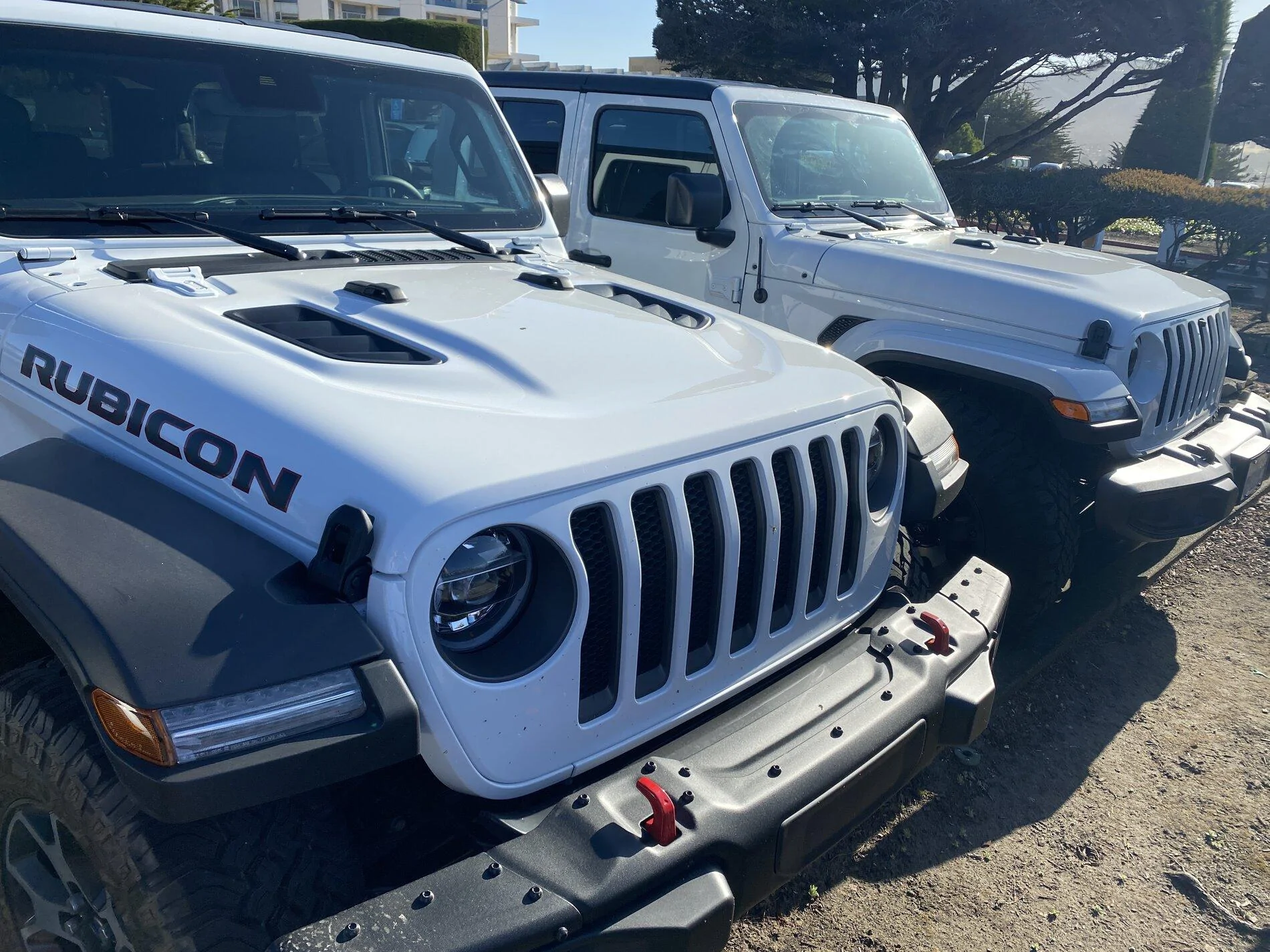 Jeep Gladiator Jeeps Parking Next To Jeeps DA763E2F-57F3-4808-8C3C-2FBEC9A97B0D