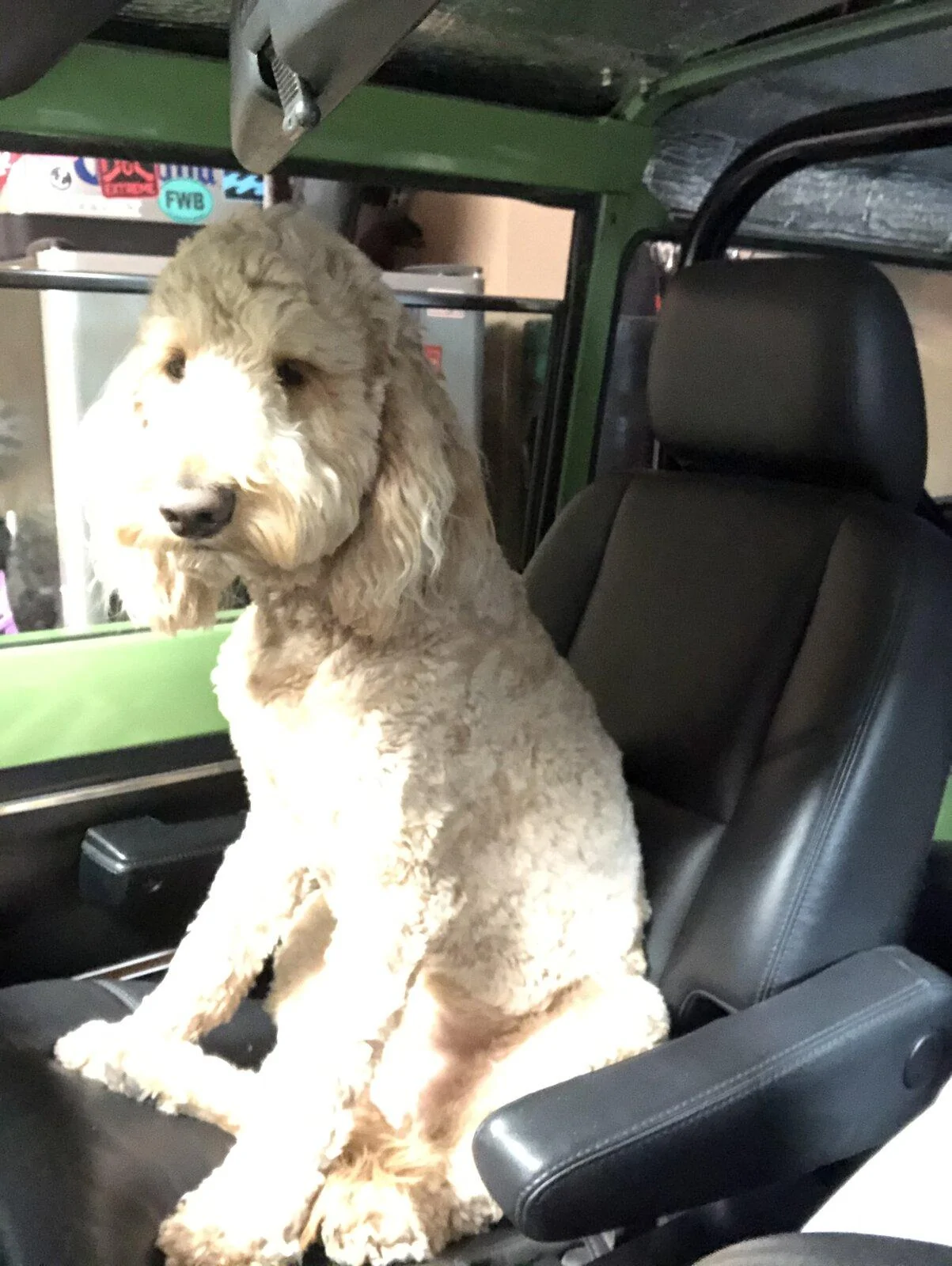 Jeep Gladiator Show me your furry Co-Pilots. DBFC59B6-1F39-4CA3-A38C-1721CA44984B