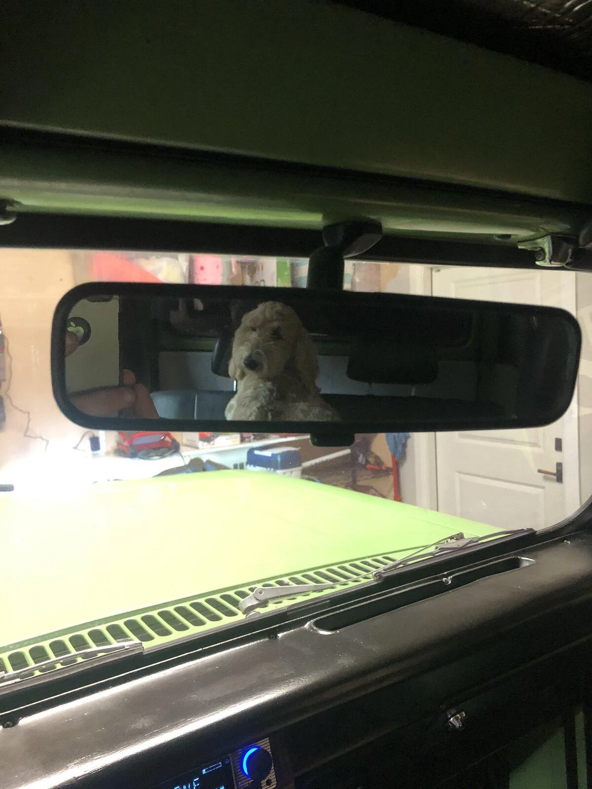 Jeep Gladiator Show me your furry Co-Pilots. A4F6E331-E748-4A8E-A84F-4C41B446938F