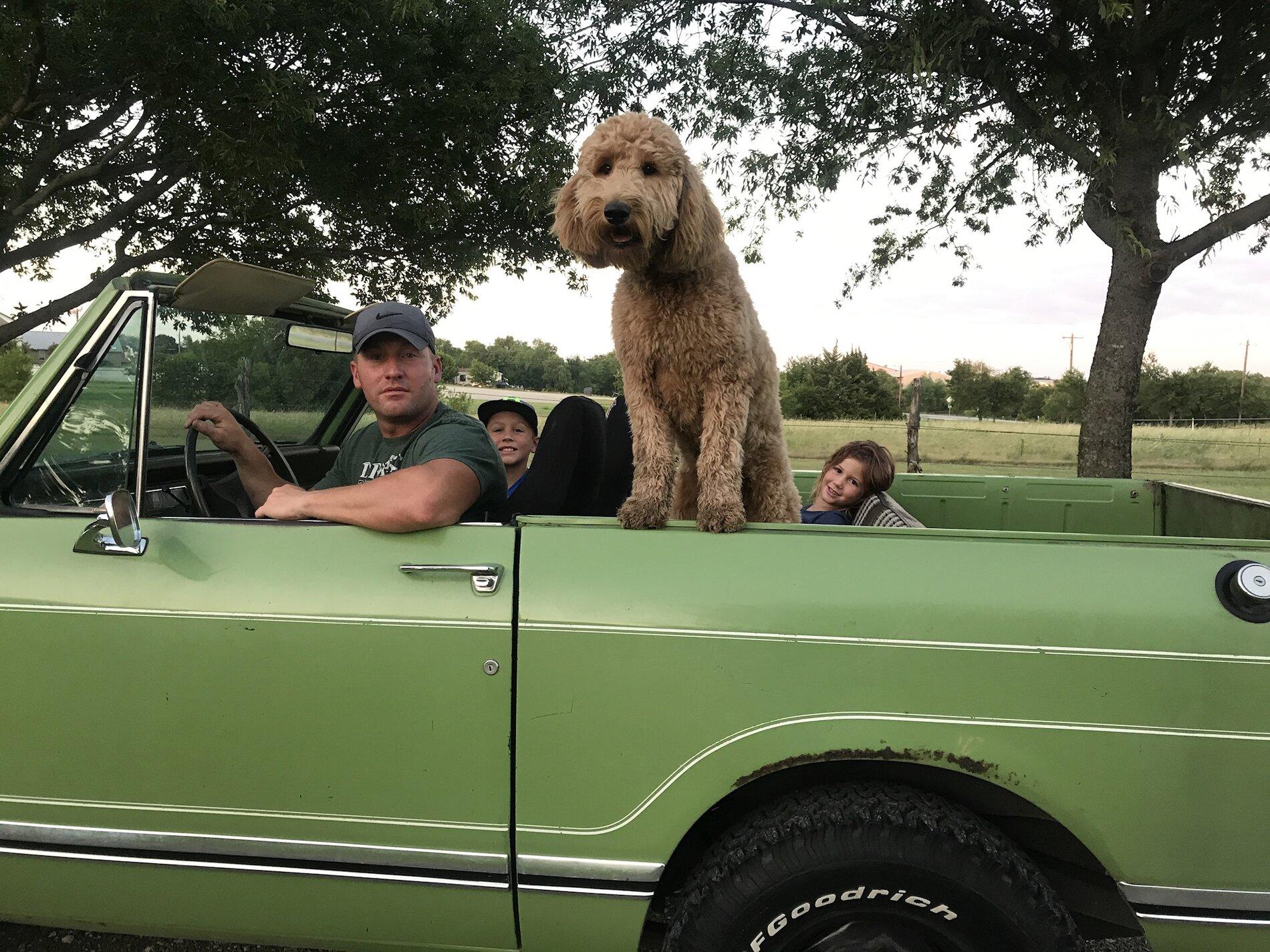 Jeep Gladiator Show me your furry Co-Pilots. C171A739-75C3-49CB-A8E1-AA2B55ADB573