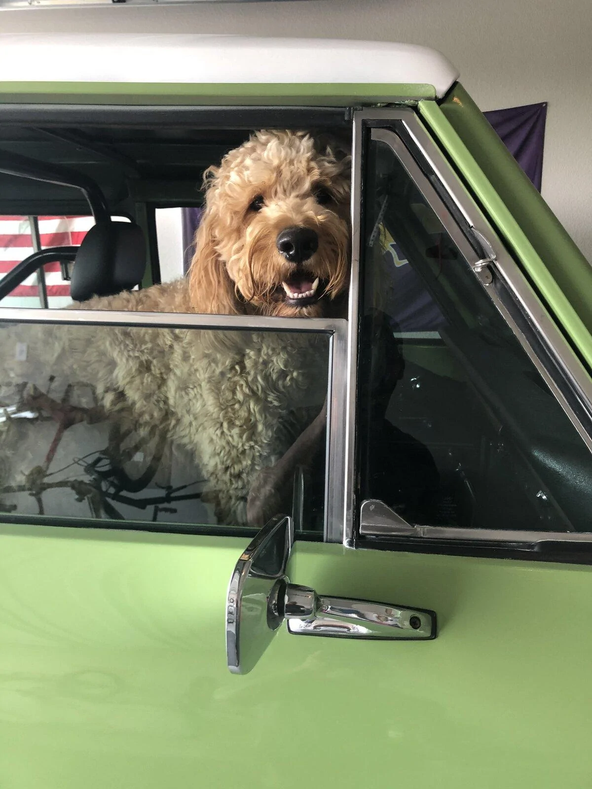 Jeep Gladiator Show me your furry Co-Pilots. 886B80F8-BC63-43EF-8CAB-3E7DC57ABF20