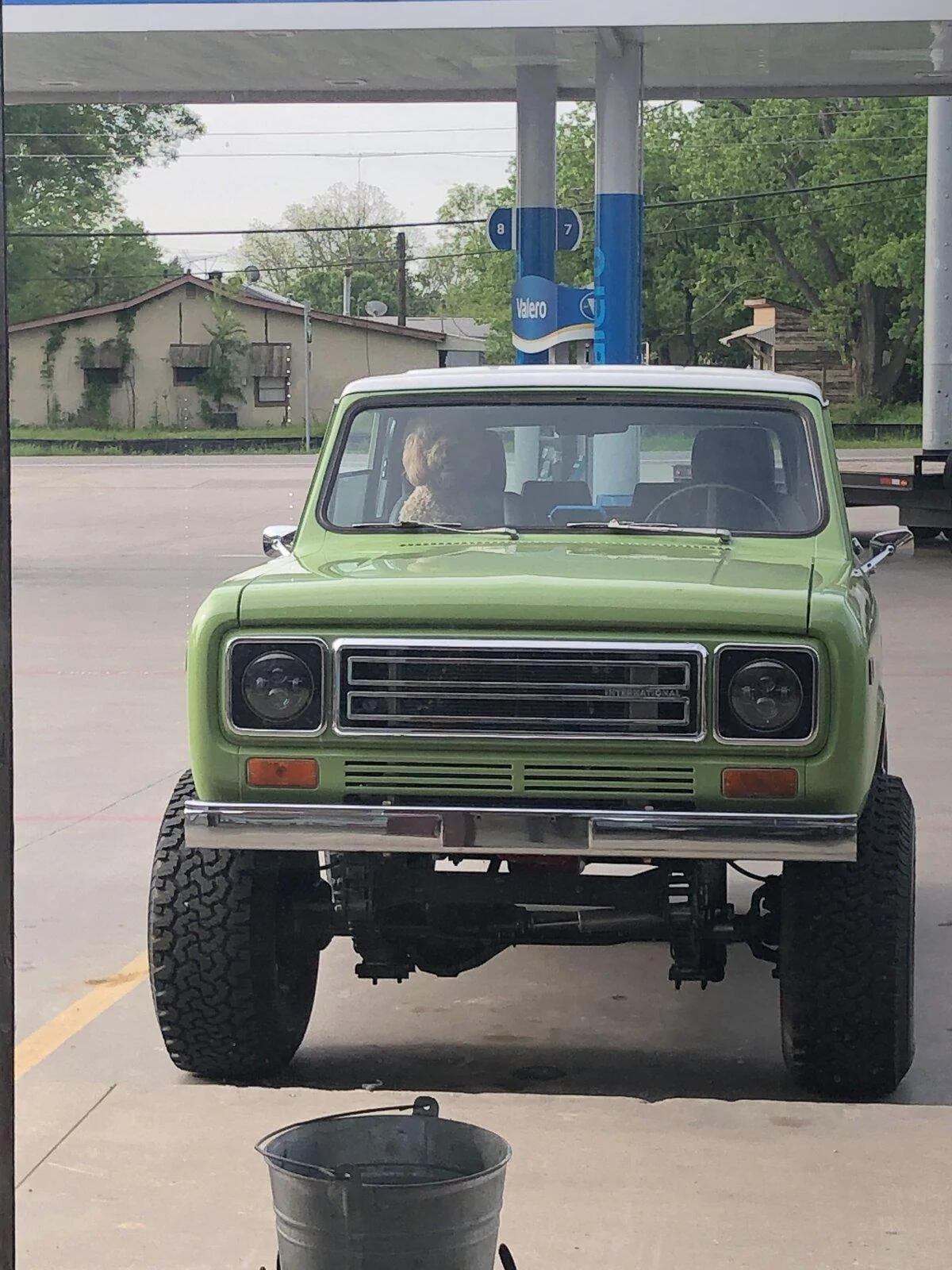 Jeep Gladiator Show me your furry Co-Pilots. CA0EC94C-6962-463E-A870-500C57EEE3FF