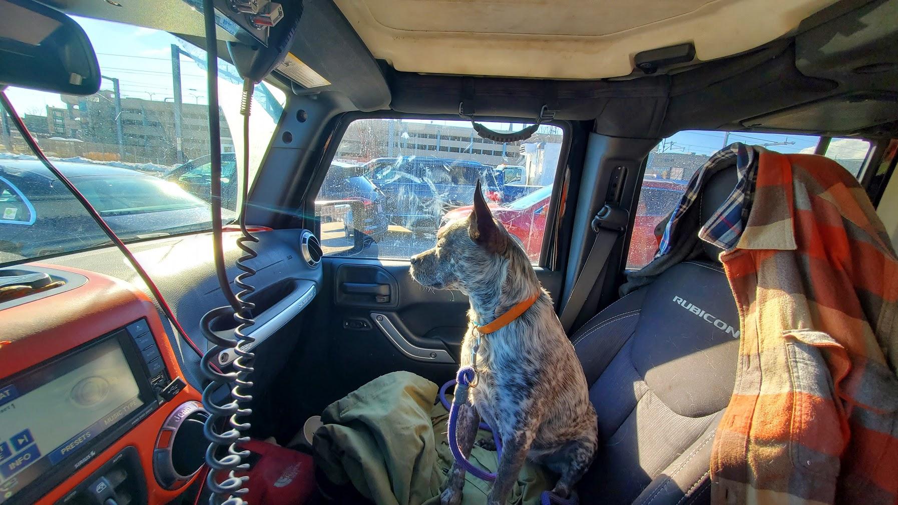 Jeep Gladiator Show me your furry Co-Pilots. zMpcZfbG1KgWTRfHM3X221VP=w1794-h1009-no?authuser=0