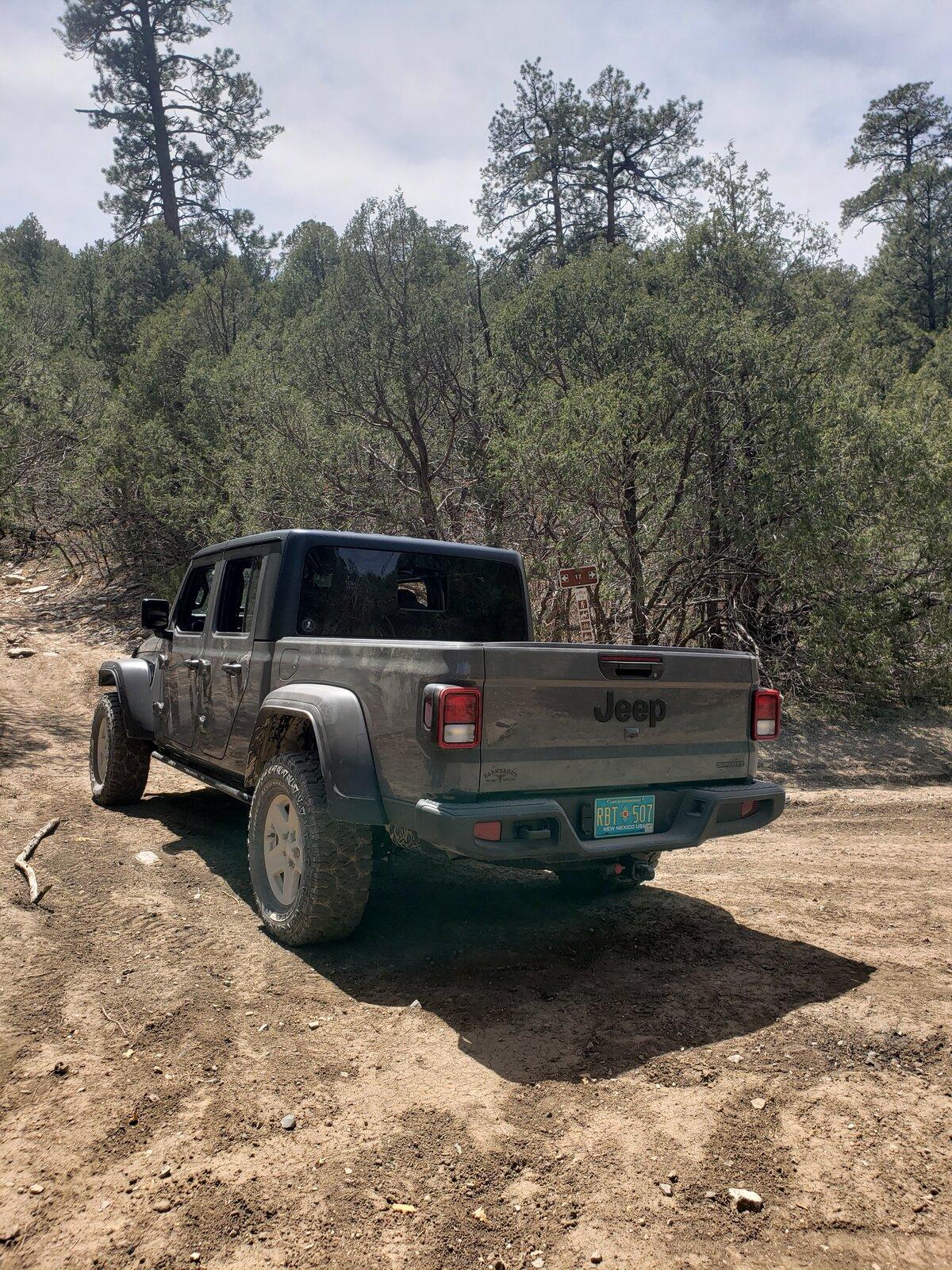Jeep Gladiator The Philistine thread - non-lifted Gladiators and not likely to be, either 20210501_142347
