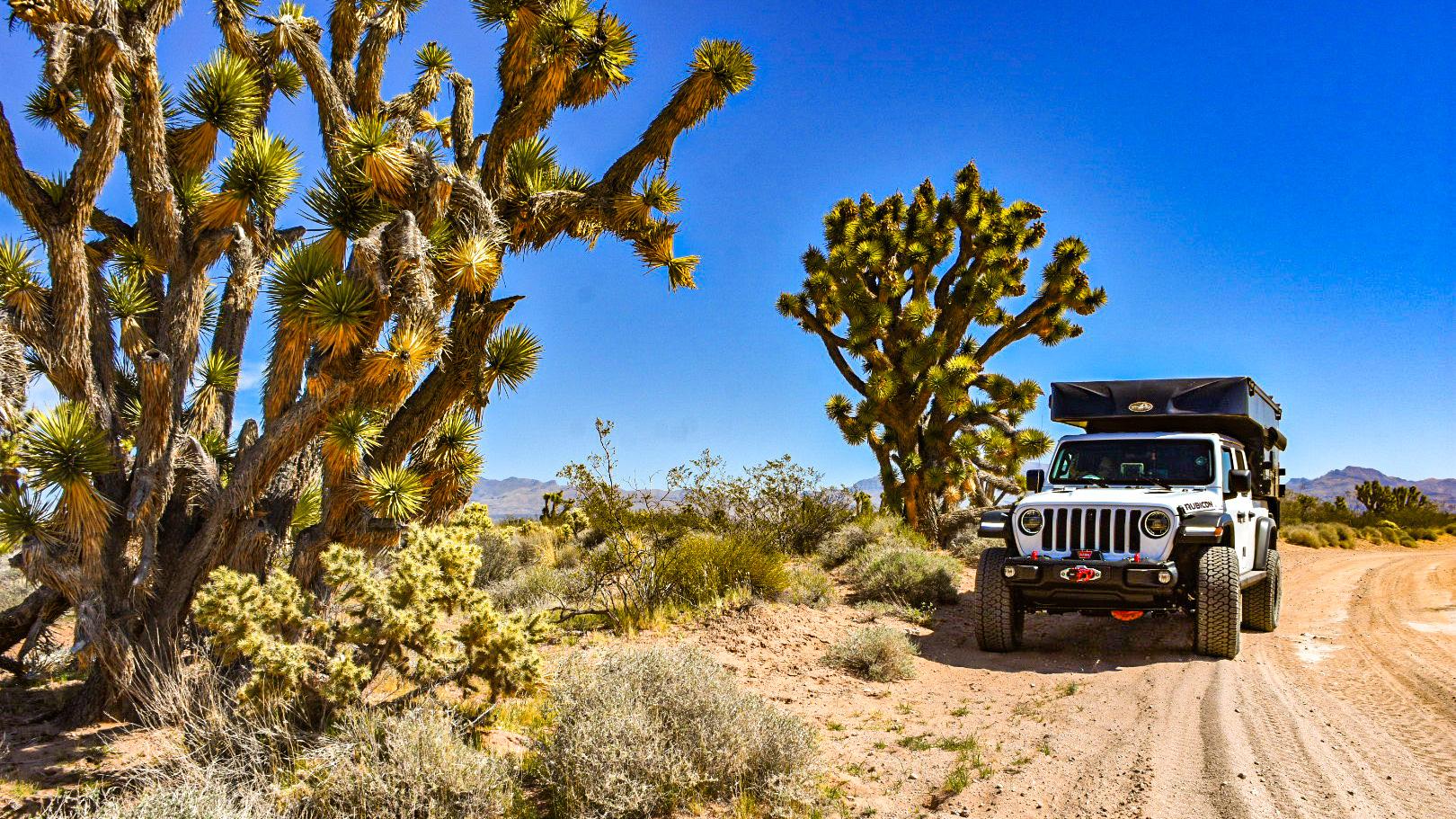 Jeep Gladiator Big Sur Overland Trip Pictorial C68712E0-193B-46CE-A27A-B3A408F59442