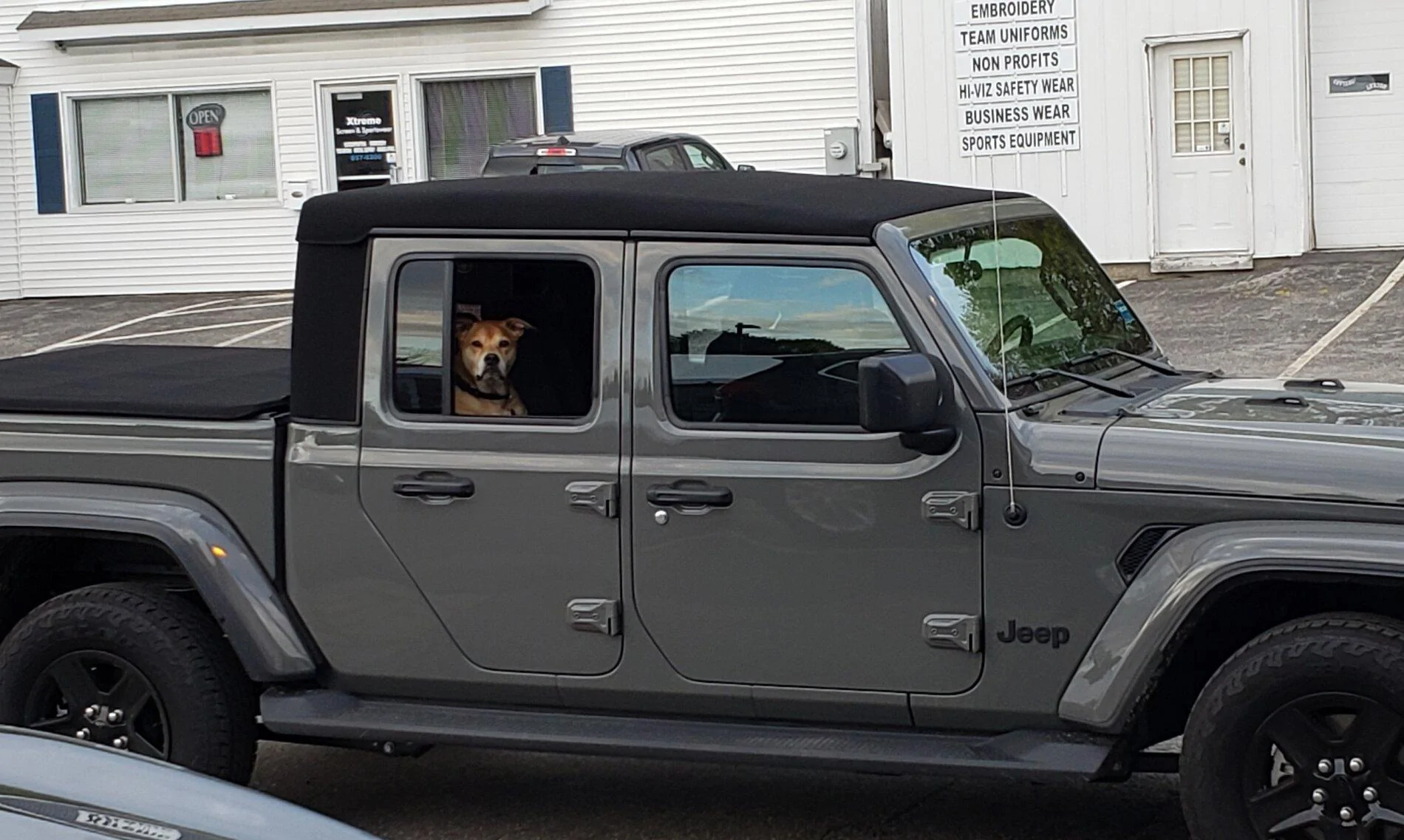 Jeep Gladiator Show me your furry Co-Pilots. 20210511_190430