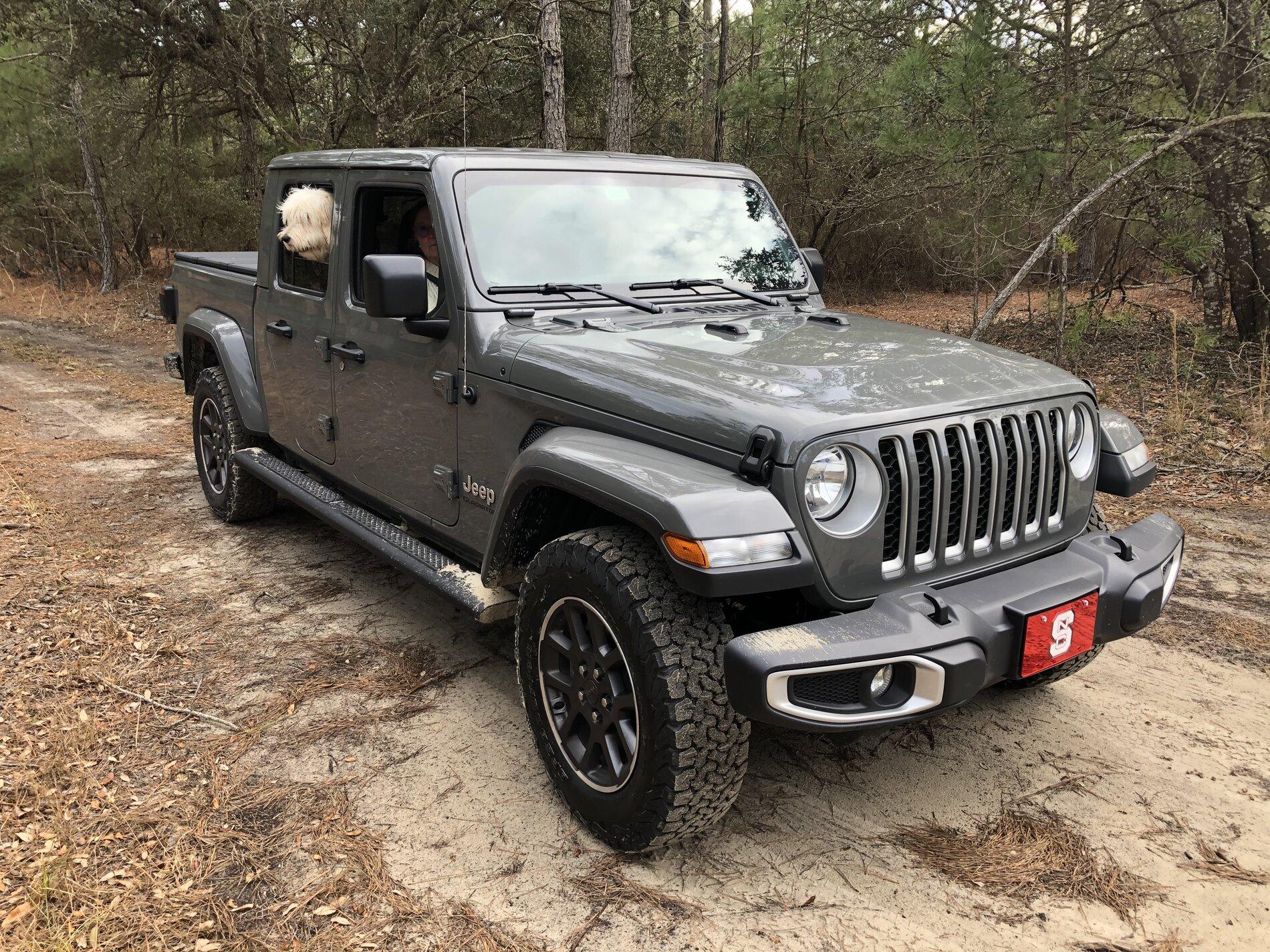Jeep Gladiator Show me your furry Co-Pilots. IMG_5637.JPG
