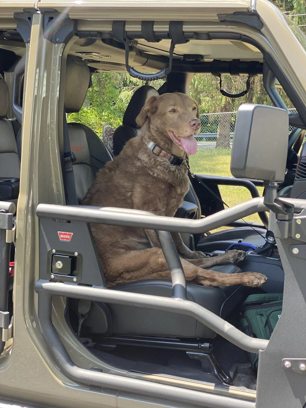 Jeep Gladiator Show me your furry Co-Pilots. IMG_0100