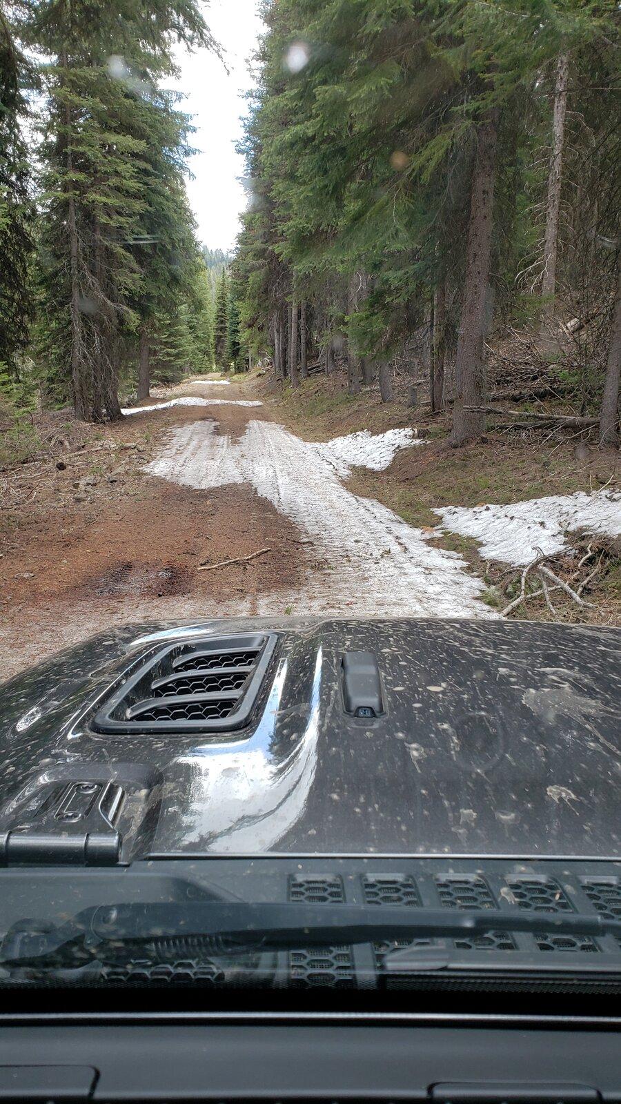 Jeep Gladiator Joseph, Oregon forest road trip 20210511_133648