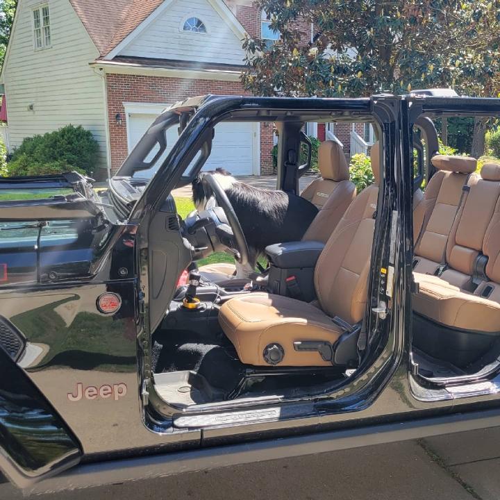 Jeep Gladiator What did you do TO your Gladiator today? [ADMIN WARNING: NO POLITICS, NO GUN TALK] IMG_20210515_162235_701