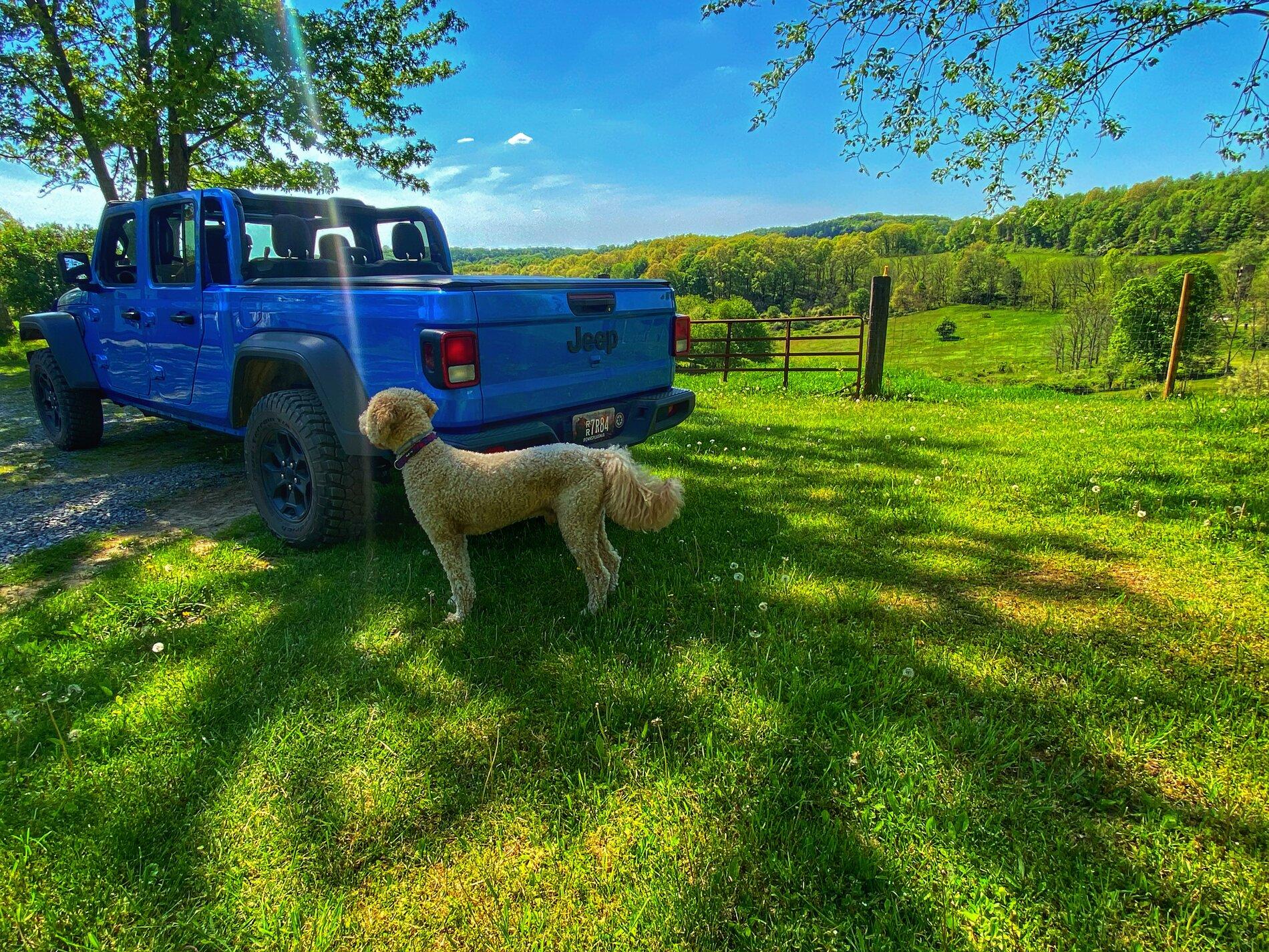 Jeep Gladiator Get Topless!!!!! 8C891225-9C05-47C8-ADF8-47B1803D1815