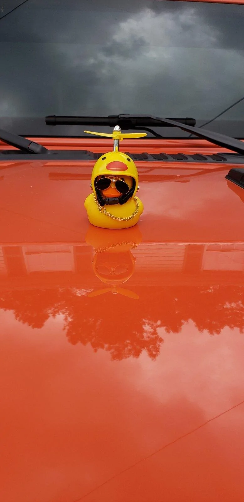 Jeep Gladiator Get a duck yet? 20210518_174844