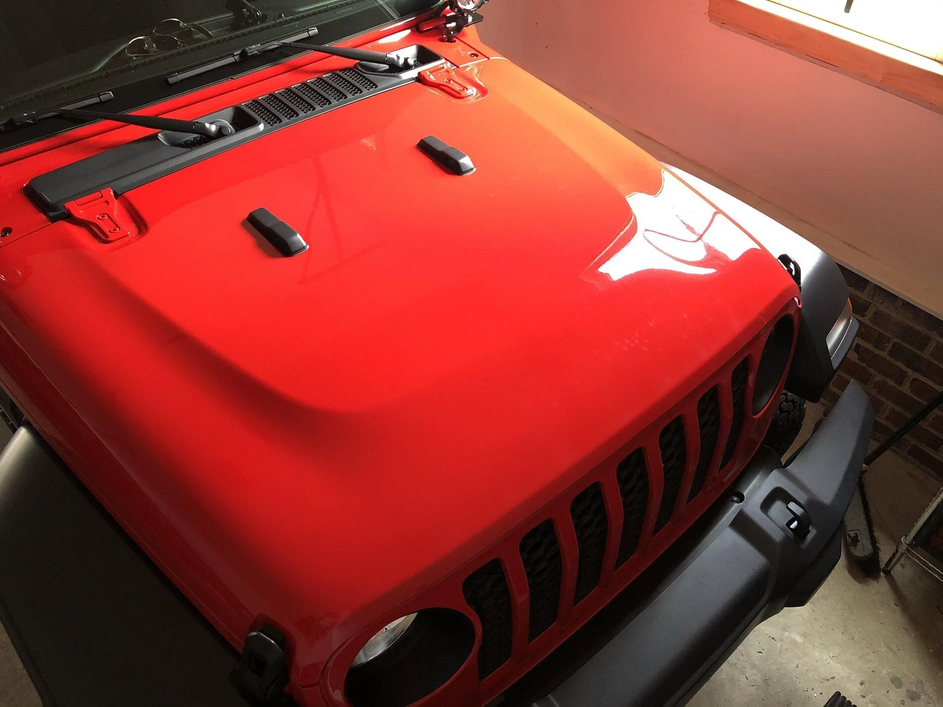 Jeep Gladiator Ceramic coating looks fantastic! 85212464-511C-4715-8D30-066F9BCF3E0B