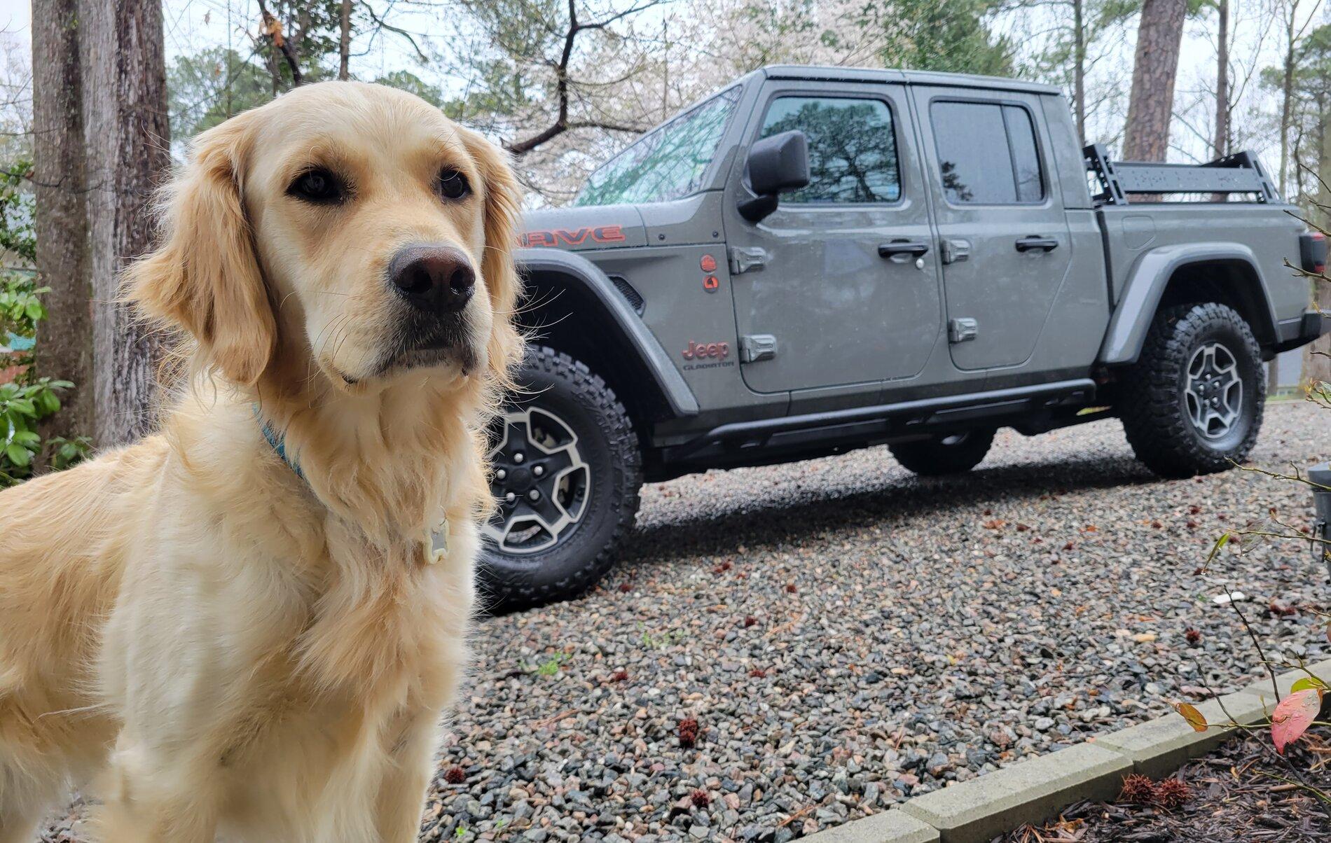 Jeep Gladiator Show me your furry Co-Pilots. 20210328_093107