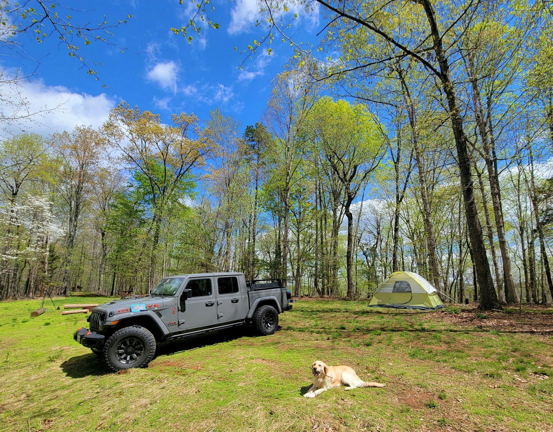 Jeep Gladiator Show me your furry Co-Pilots. 20210416_132443