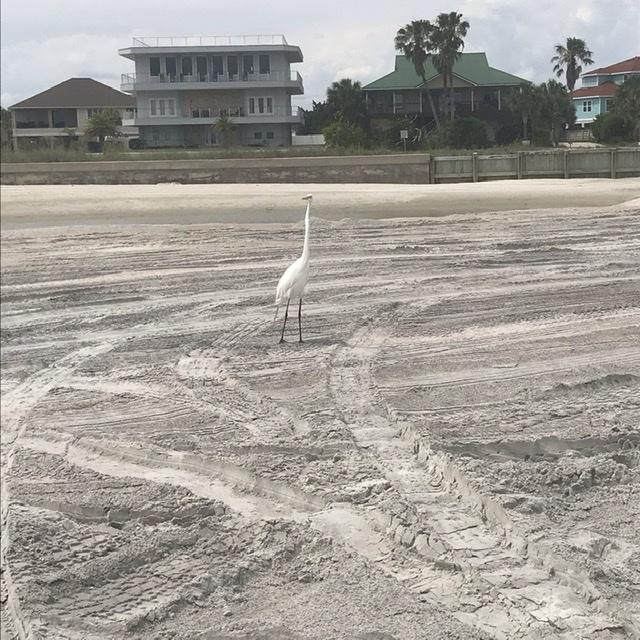 Jeep Gladiator Cruising St. Augustine Beach, FL 38D68EC5-BBD5-4B6A-9BA5-8A8A06D5AD73