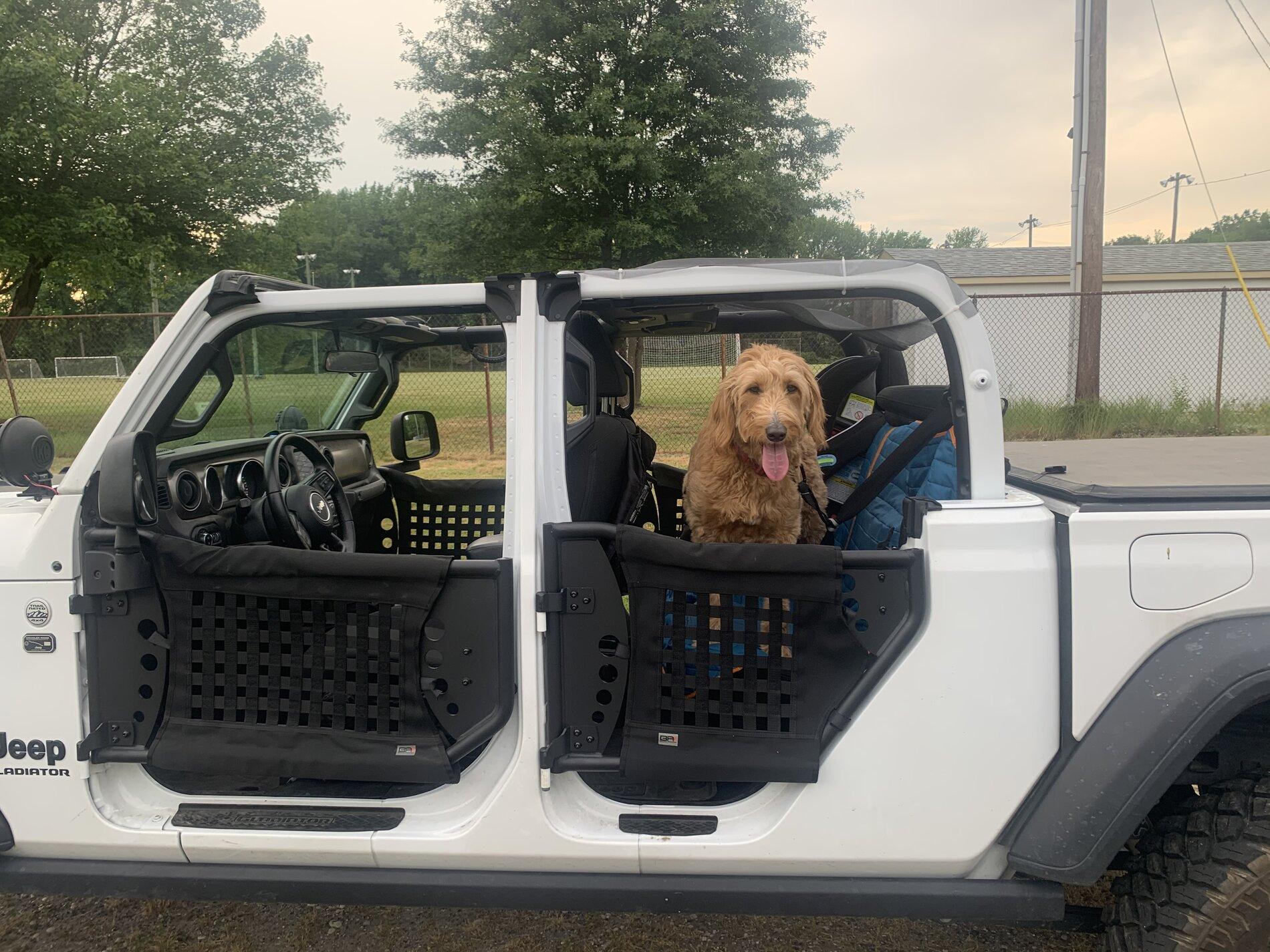 Jeep Gladiator Show me your furry Co-Pilots. 57948AE0-279A-4862-A75A-FA19FCF9906D
