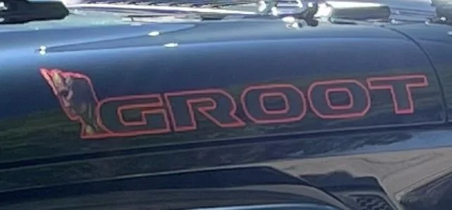 Jeep Gladiator Your Jeep's name Groot (2)