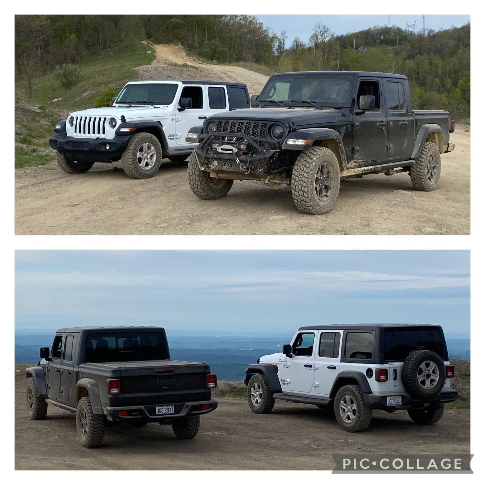 Jeep Gladiator Jeeps Parking Next To Jeeps CE8902DC-DE02-43DF-AA99-0F7B680BEC89