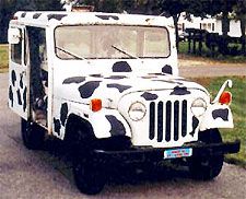 Jeep Gladiator Automated car wash issue 4b0a023624a9452045f5b12d639289fc