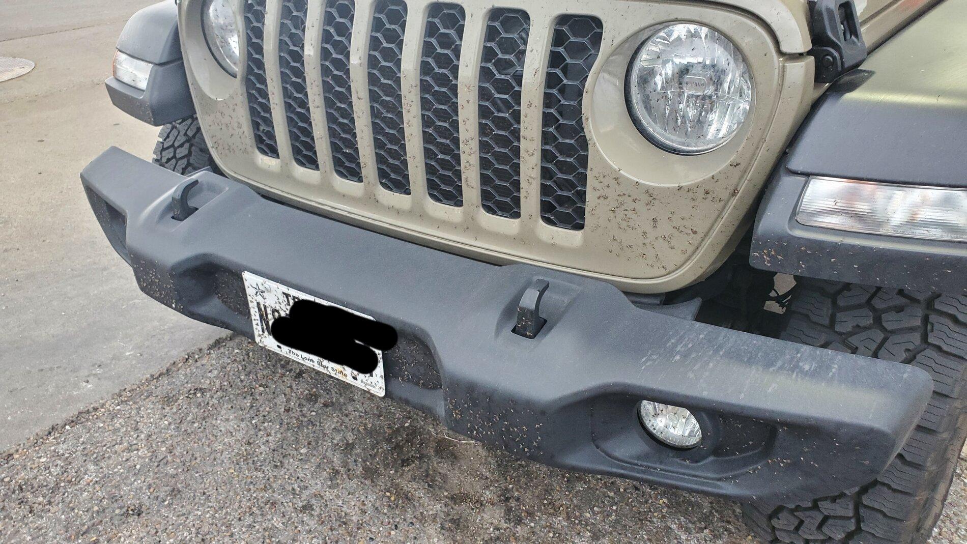 Jeep Gladiator Bug removal 20210529_200553