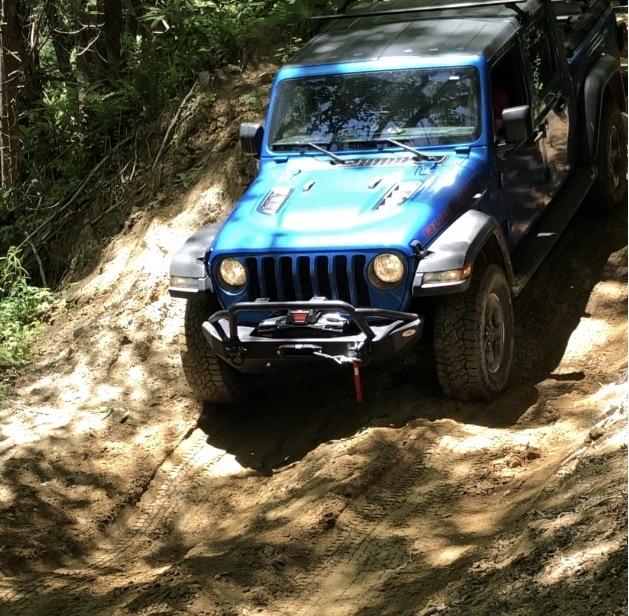 Jeep Gladiator Where did you take your Gladiator today? Charlies Creek Rd 2.JPG