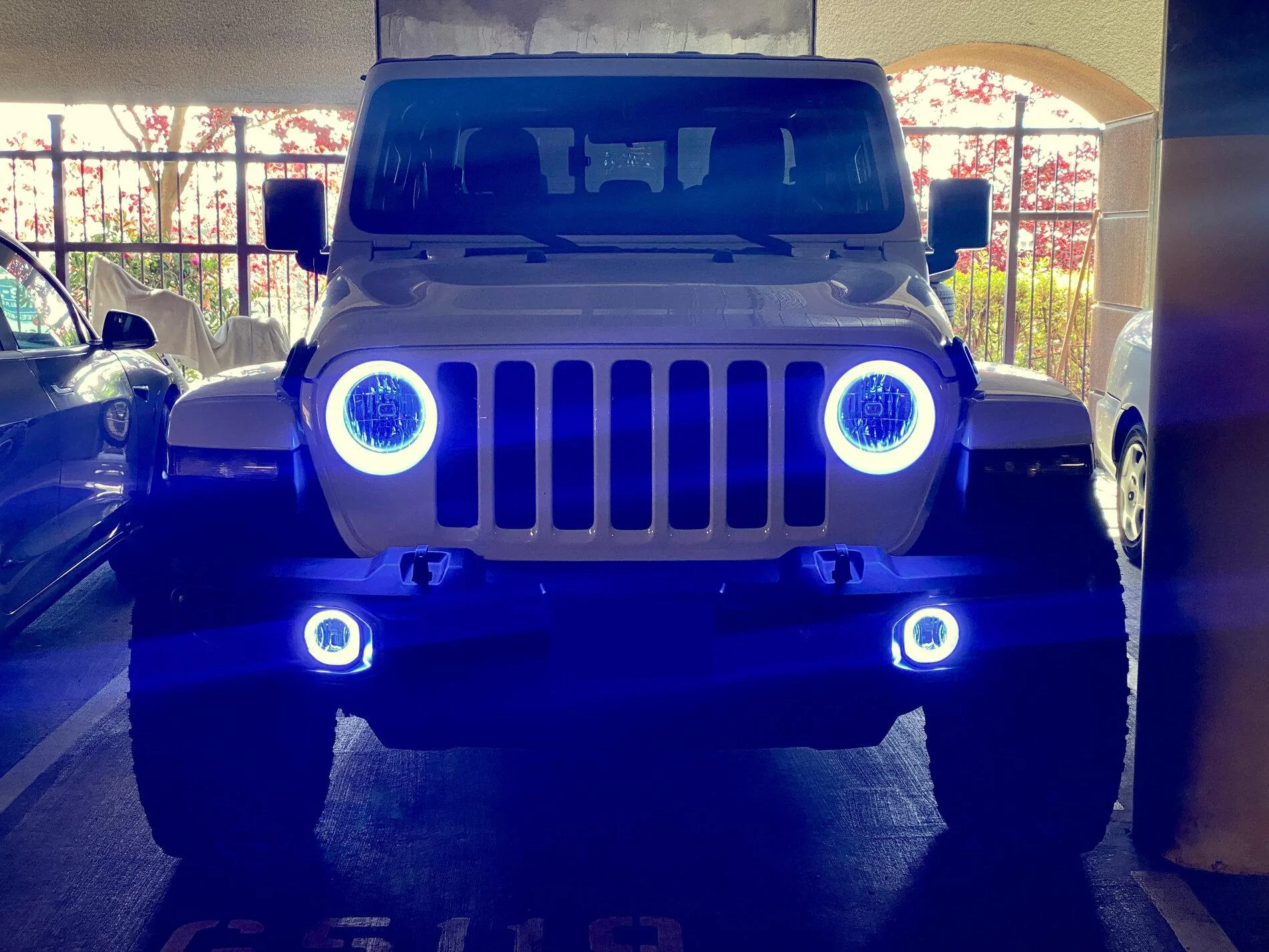 Jeep Gladiator FEATURED: ORACLE JL/ Gladiator Surface Mount LED Halo Kit IMG_9317
