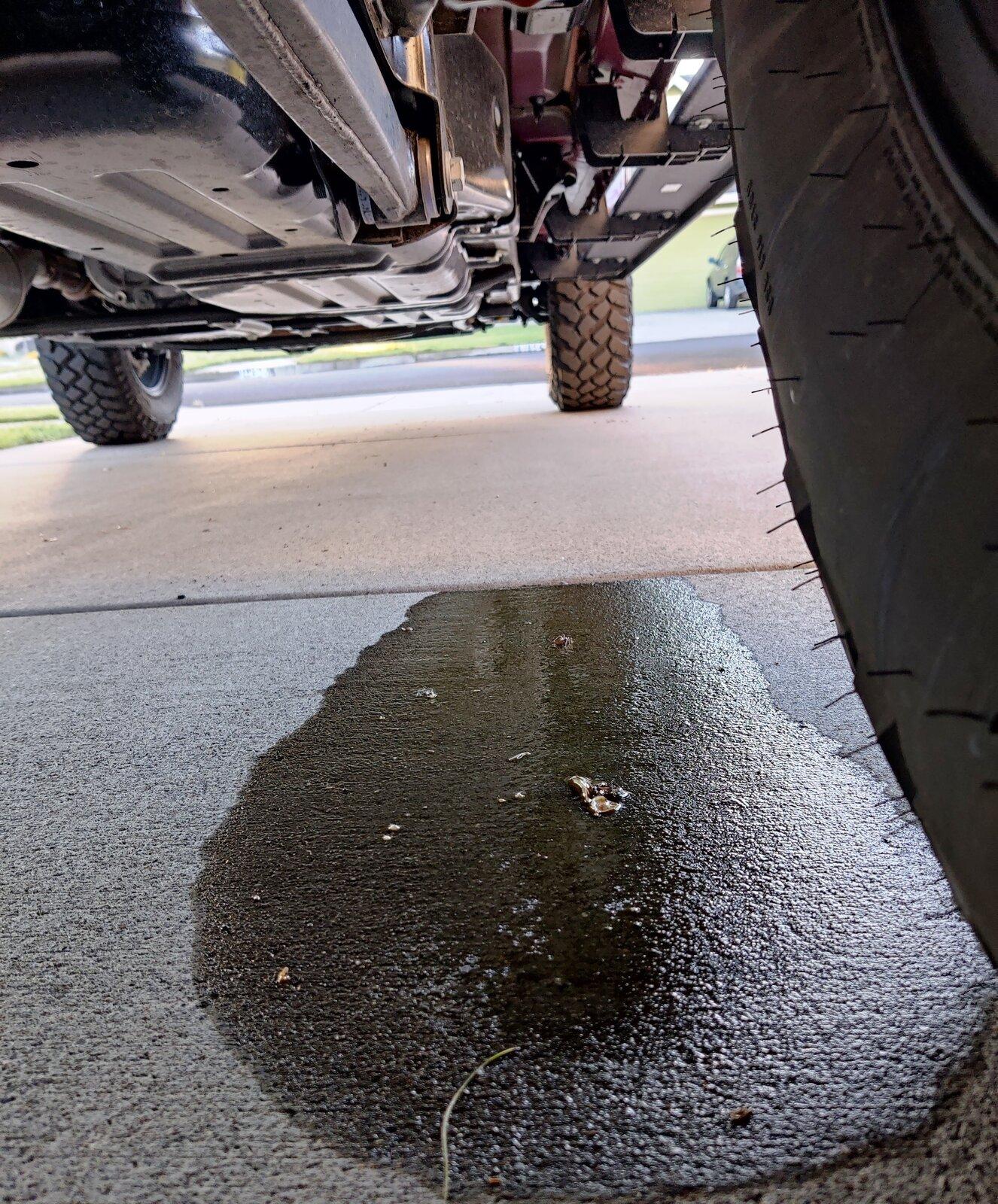 Jeep Gladiator 2021 Willys Rear Shock Leaking Gladiator.a