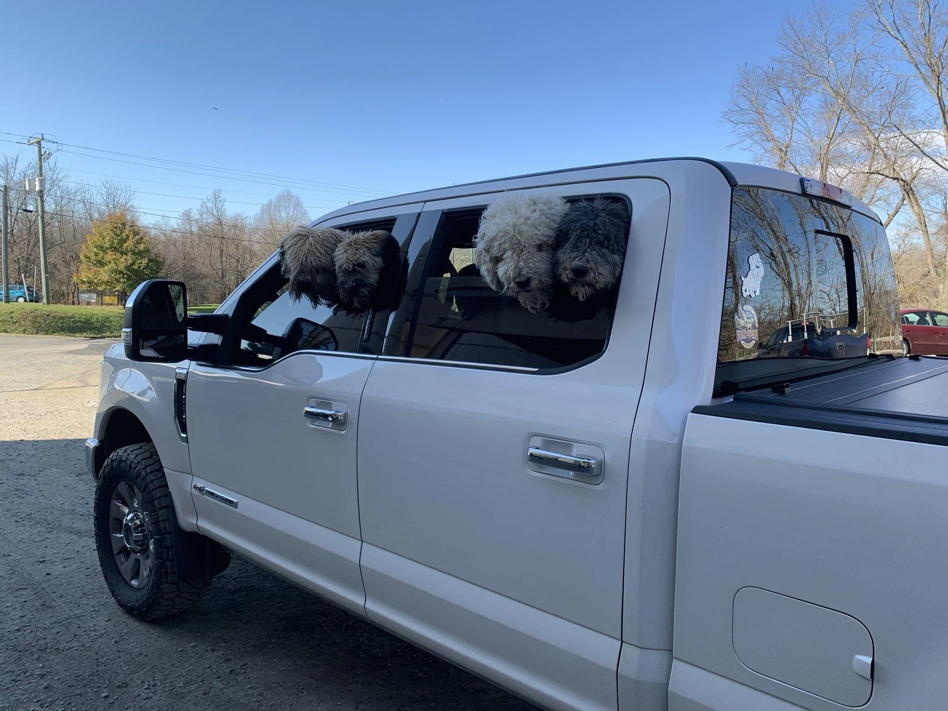 Jeep Gladiator Let’s see your pets cause they are the best companion you can have!!!!! 24323833-6C5C-47D1-8E33-86F7747AEFA8