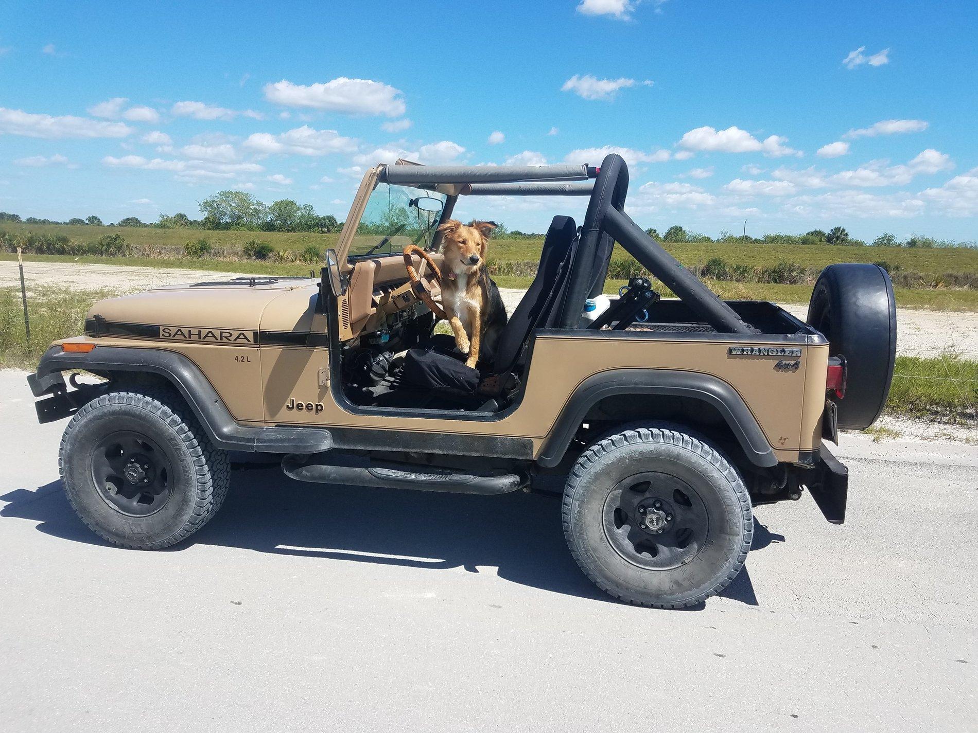 Jeep Gladiator Let’s see your pets cause they are the best companion you can have!!!!! 20190421_111308