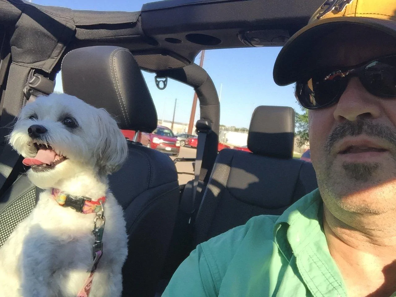 Jeep Gladiator Let’s see your pets cause they are the best companion you can have!!!!! 9C84E6AF-2EFF-4120-8A22-894FFA62284B