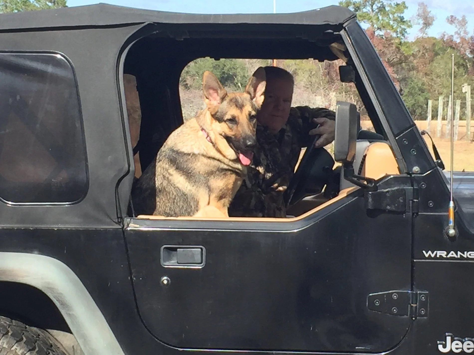 Jeep Gladiator Let’s see your pets cause they are the best companion you can have!!!!! 36CDFA2D-C1B8-46ED-84EA-CB2E80A5D0FA