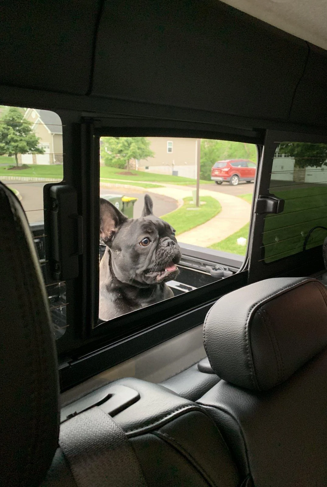 Jeep Gladiator Let’s see your pets cause they are the best companion you can have!!!!! F165CC3C-0A1F-49D5-8920-C5171D3F97CA