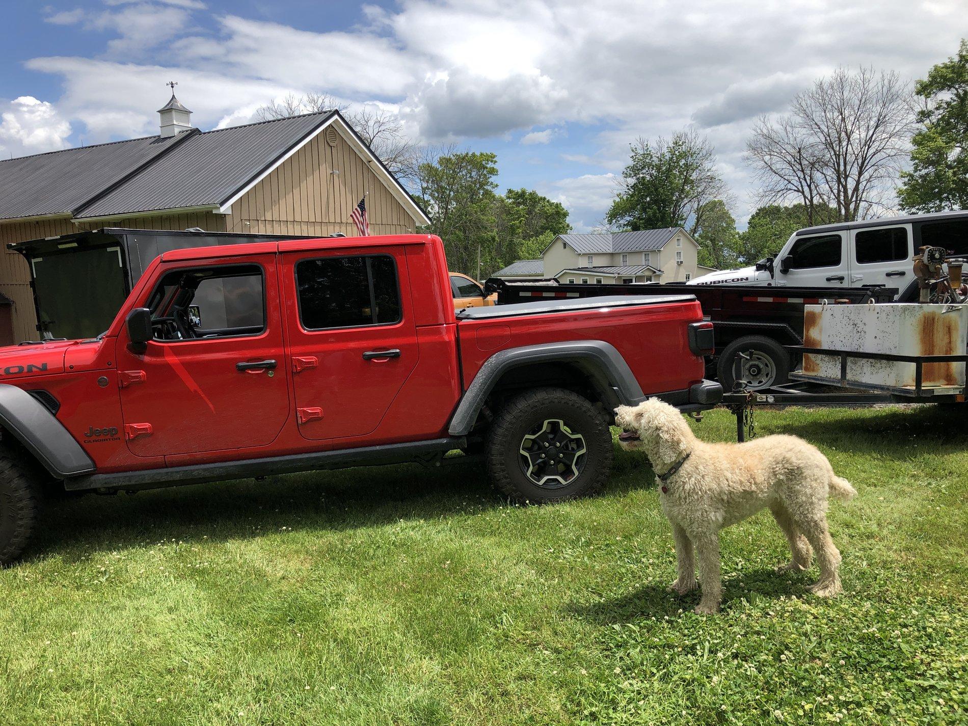 Jeep Gladiator What did you do TO your Gladiator today? [ADMIN WARNING: NO POLITICS, NO GUN TALK] 649FD106-8691-4B40-B586-8378D8BE9283