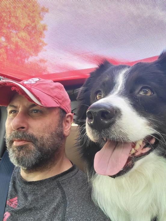 Jeep Gladiator Show me your furry Co-Pilots. Me-and-Vi