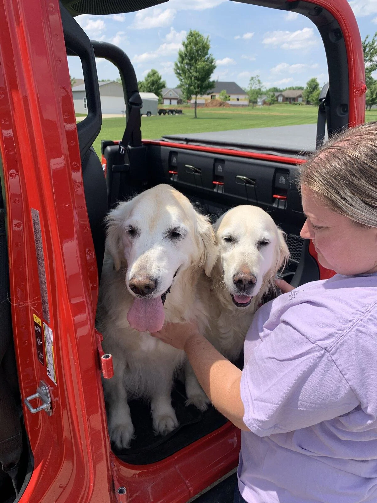 Jeep Gladiator Show me your furry Co-Pilots. 62820F94-4FEA-4908-AB1B-2DC369E2F750