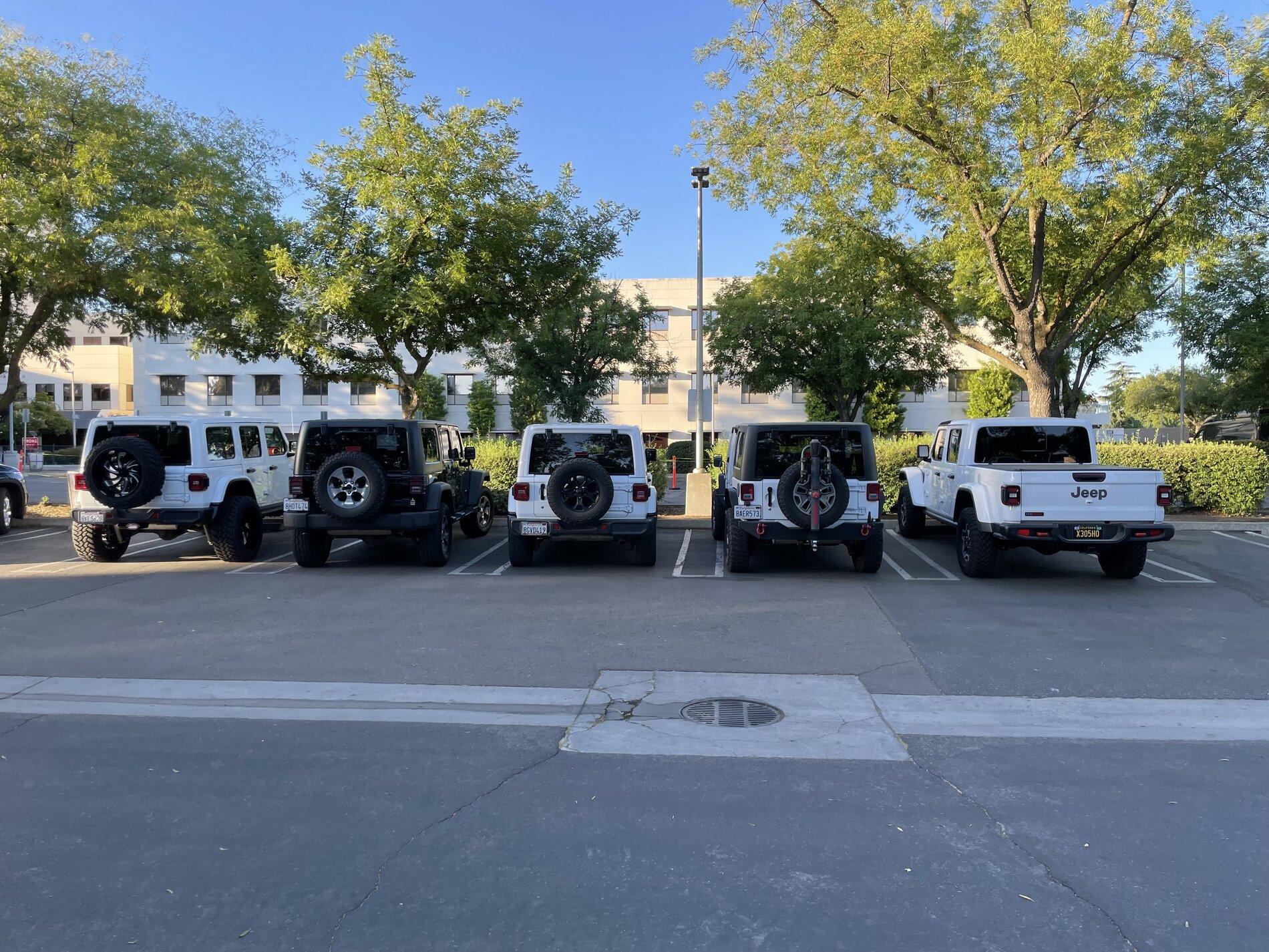 Jeep Gladiator Jeeps Parking Next To Jeeps IMG_1461
